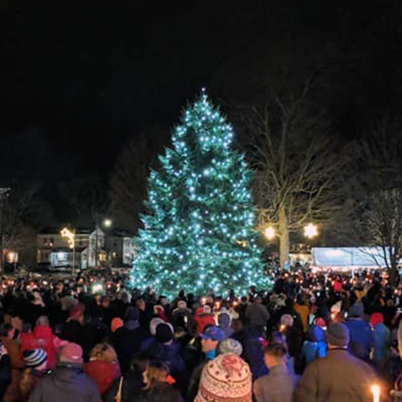 Tree Lighting at Winter Light Night